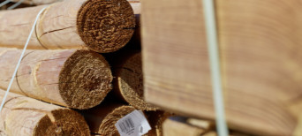 runde Holzpfähle
